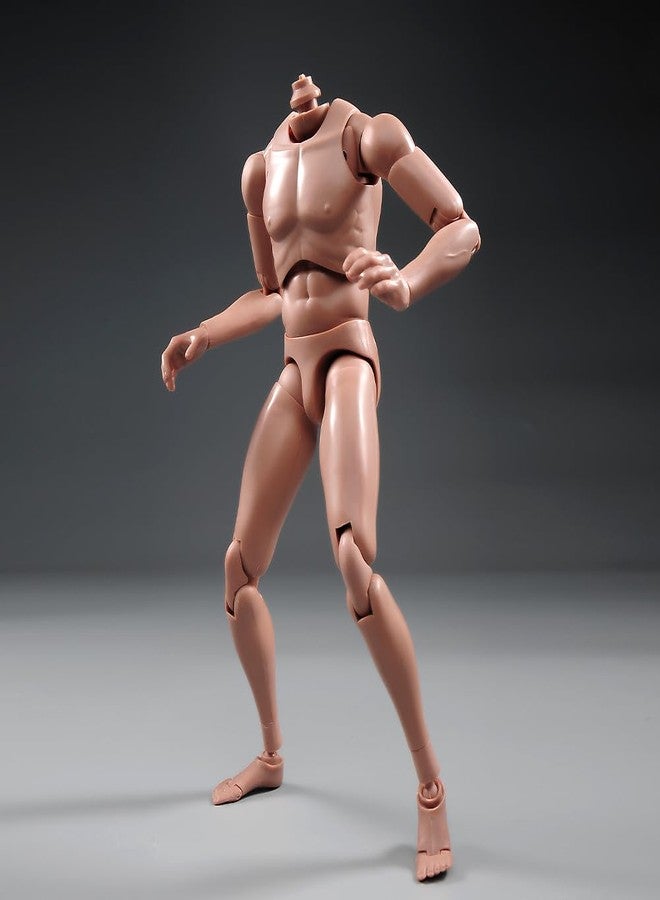 RoofWorld 1:6 Scale Nude Male Figure Body, Europe/Asian Skin Muscular Body Model Man Action Figure Fit 12Inch Doll Without Head Sculpt for Head with Neck (MX02-A) - Image 3